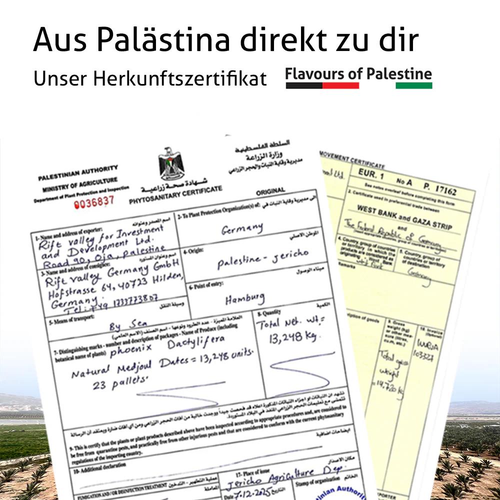 Palästinensische Premium Medjoul Datteln