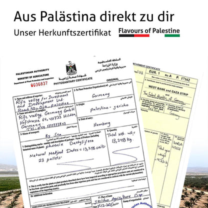 Palästinensische Premium Medjoul Datteln